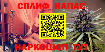 индика Ставрополь