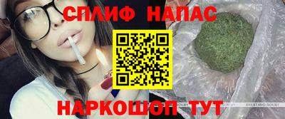 индика Ставрополь