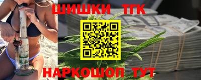 индика Ставрополь
