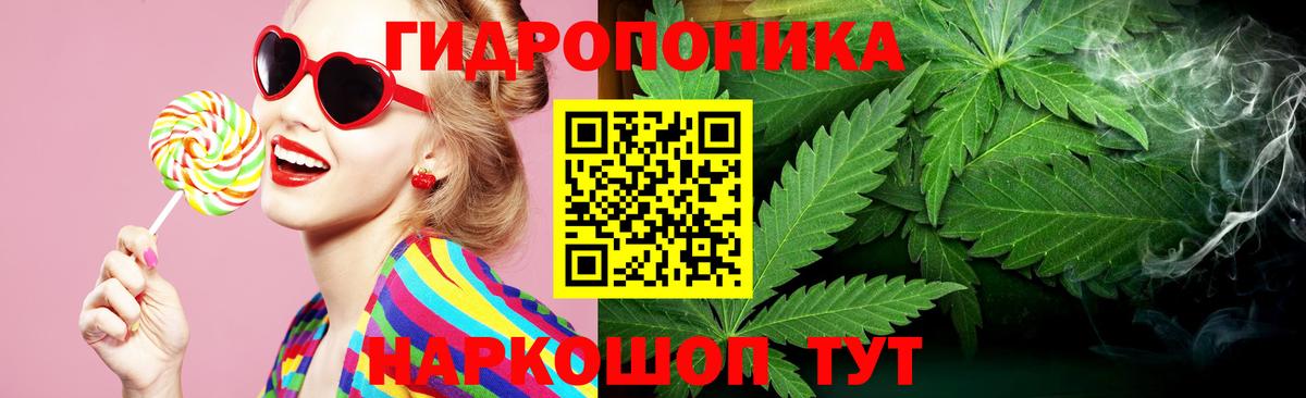 Бийск  Канабис Amnesia  Конопля Bruce Banner  Конопля ГИДРОПОН  Вход с VPN 